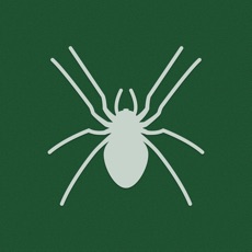 Activities of Solitaire / Spider