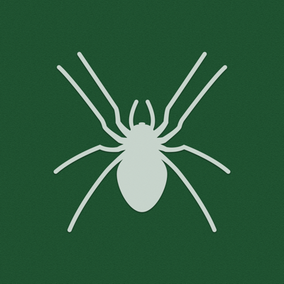 Solitaire / Spider