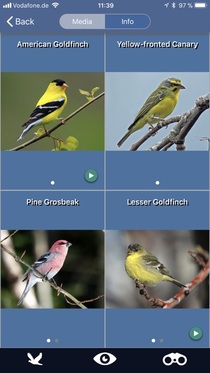 Bird Id USA backyard birds screenshot-3