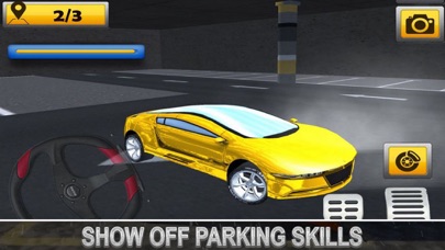 Multi-Level Car Parking Skill screenshot 3