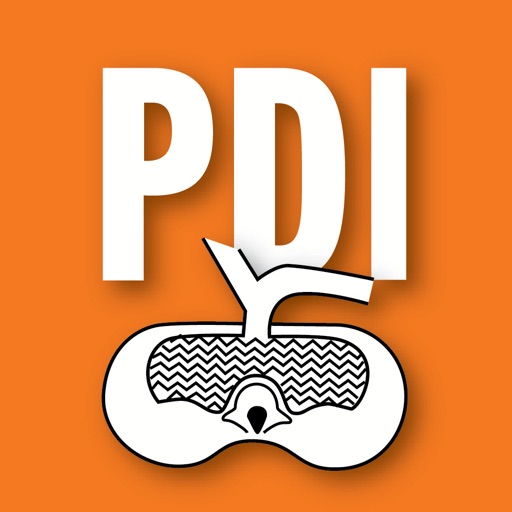 PDI icon