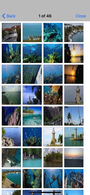 Biscayne National Park - Great(圖5)-速報App