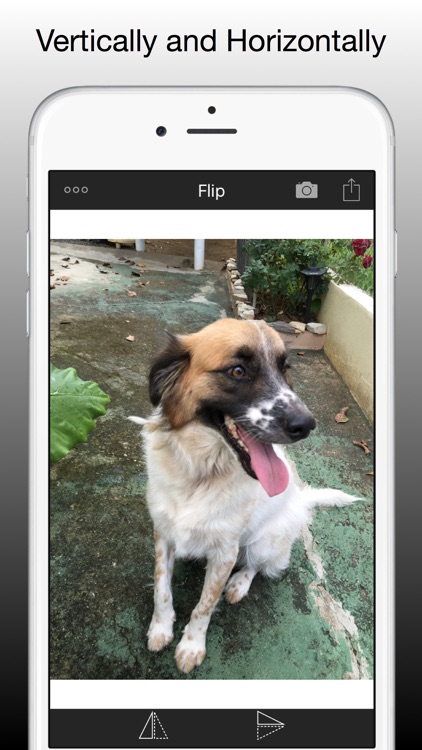 Flip Photos