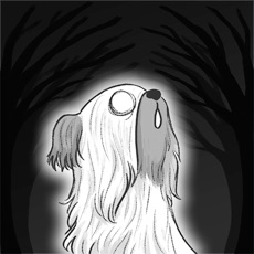 Activities of Greyfriars Bobby