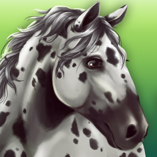 Horse Hotel - care for horses