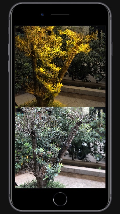 Apollo: Immersive illumination