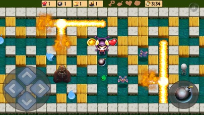 Bomber Adventure screenshot 3