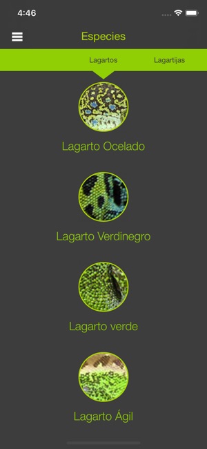 Guía de reptiles de España(圖1)-速報App