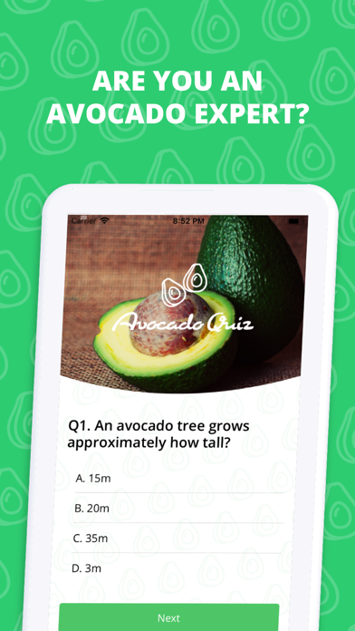 Avocado Avocado screenshot 4