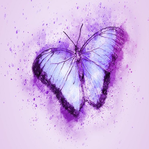 Butterfly Stickers - 2018