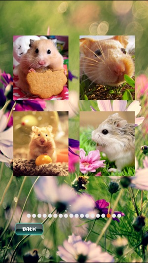 Hamster Puzzles(圖2)-速報App