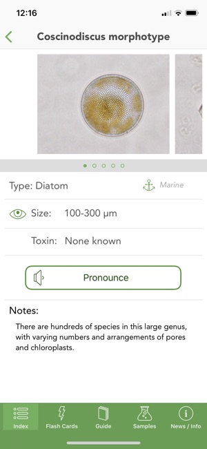 ‎Phyto on the App Store
