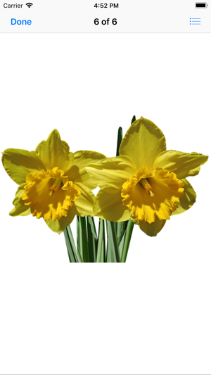 Daffodil Sticker Pack(圖7)-速報App