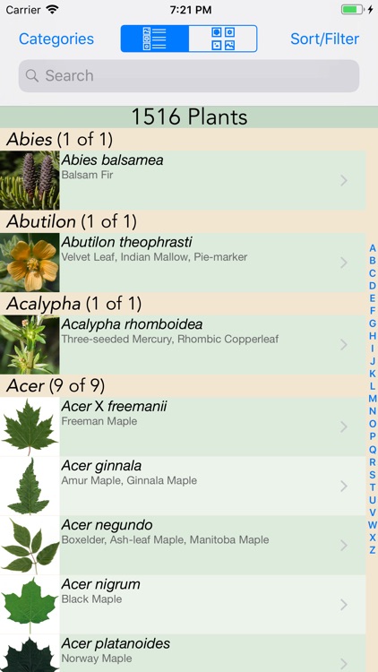 Minnesota Wildflowers Info.