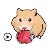 Animated Cute Hamster Hamsmoji