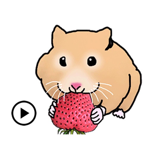 Animated Cute Hamster Hamsmoji icon