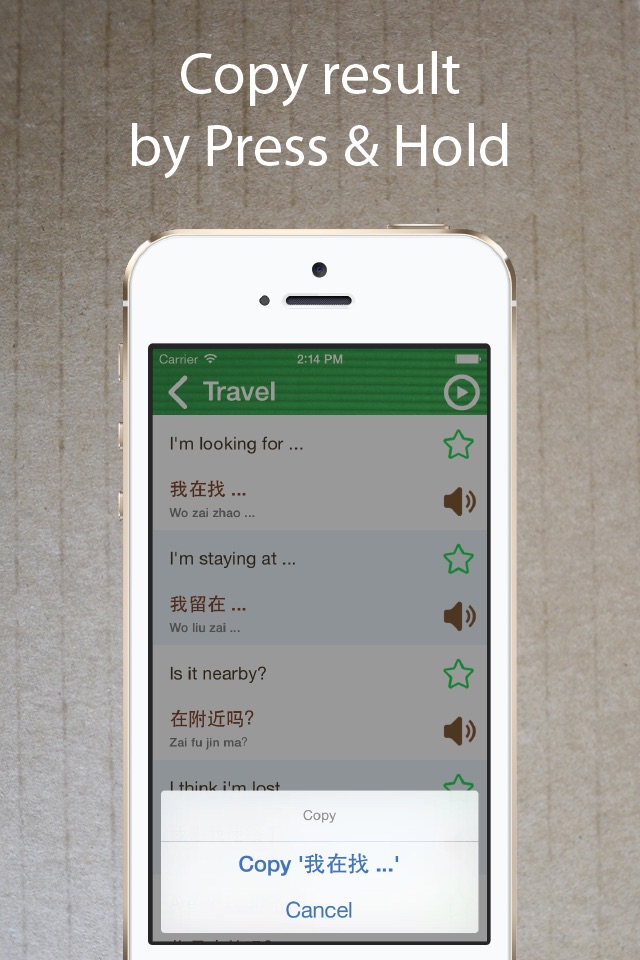 Learn Chinese Phrasebook Pro + screenshot 3