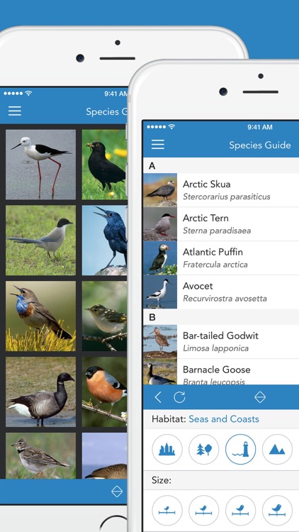 iKnow Birds 2 PRO - Europe
