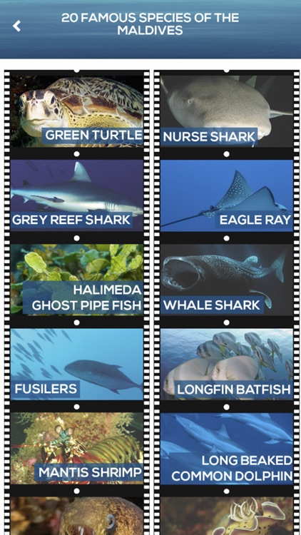 iDive World - Maldives screenshot-3