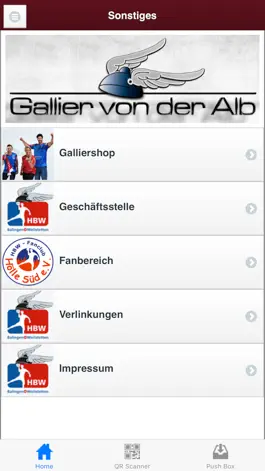 Game screenshot HBW Balingen-Weilstetten apk