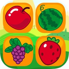 Activities of Block Fruit Puzzle 2017