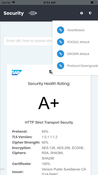 Orion Cloud Security screenshot 4