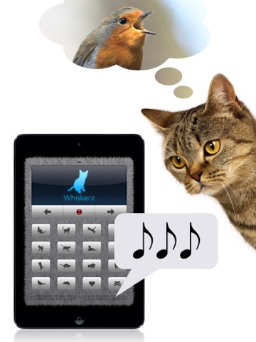 Скриншот из Human-to-Cat Translator