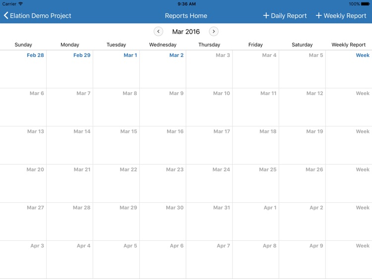 Daily & Weekly Report