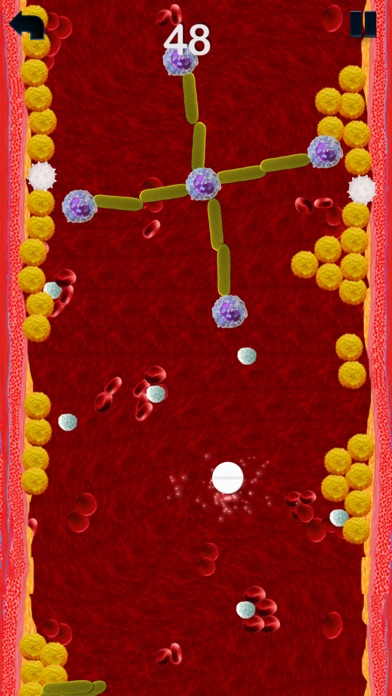 Lower Cholesterol screenshot 4