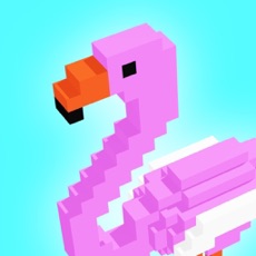 Activities of Flamingo - 3d Voxel Coloring