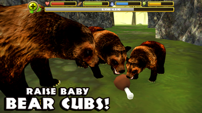 Wildlife Simulator: Bear Screenshot 3