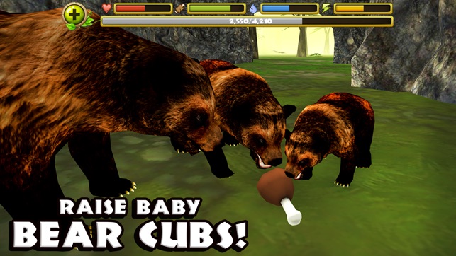 Wildlife Simulator: Bear(圖3)-速報App