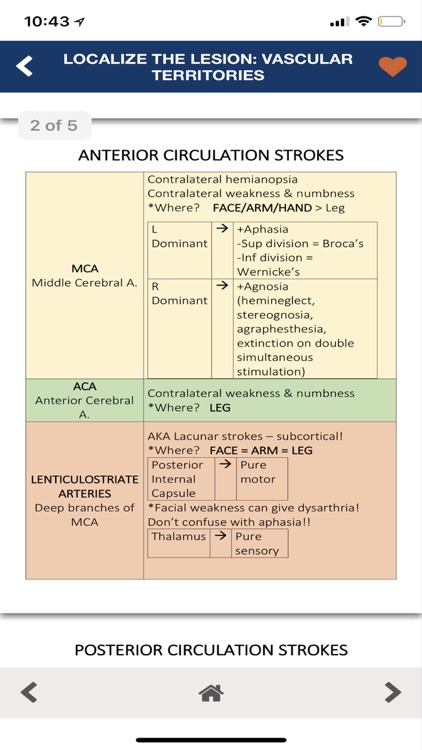 Neurology Pocketbook screenshot-3