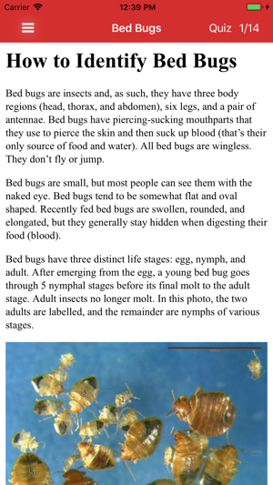 Bed Bug Field Guide(圖1)-速報App