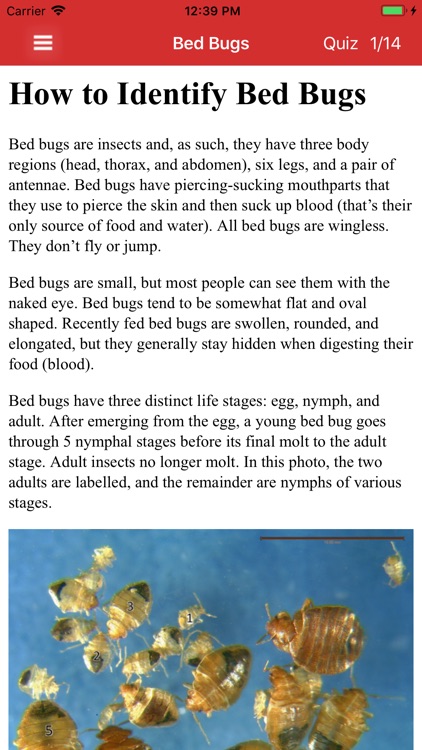 Bed Bug Field Guide