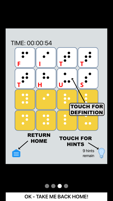 Braille WordWise Min screenshot 3