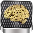 Top 20 Medical Apps Like Brain Anatomy - Best Alternatives