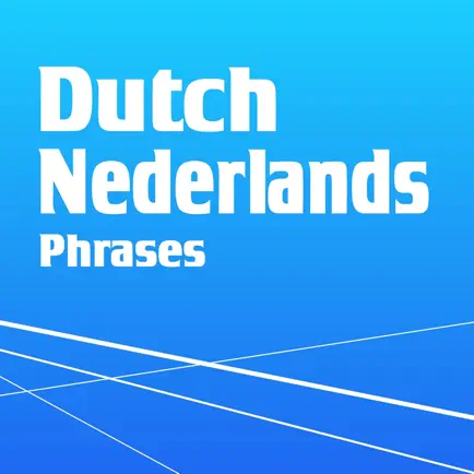 Learn Dutch Phrasebook Offline Cheats