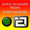 Switch Accessible Mazes #2