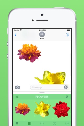 Flowers Stickers for Messages screenshot 3