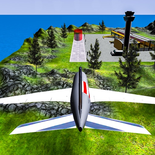 旅游飞机飞行模拟3D