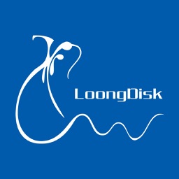 LoongDisk