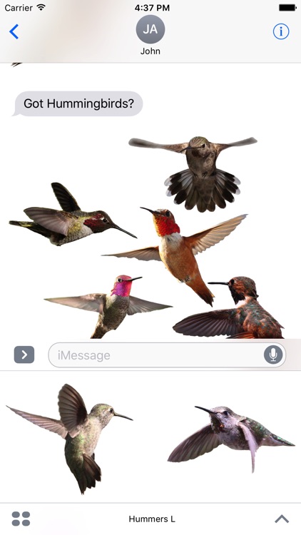 Hummingbirds - Large (Retina)