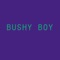 Bushy Boy Gaming Phrases