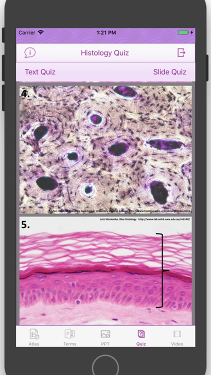 Histology Cell Tissue screenshot-5