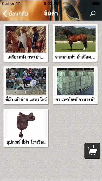 KeMah - Horse Riding & Markets screenshot 2