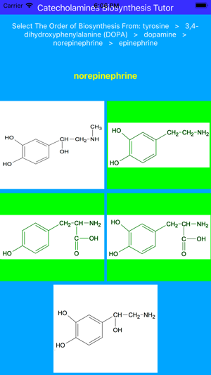 Catecholamines Synthesis Tutor(圖4)-速報App