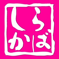 しらかば pour PC