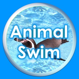 Animal Swim Silhouette Touch