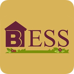 Bess Agency